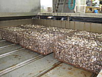 �ނ��g���y�ɂȂ�B�傫�ȃv�[���ŕs��������菜�����B