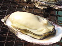 �Ձ`����Ղ�`�B